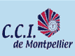 Montpellier Airport – Méditerranée